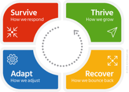 Workplace Resilience